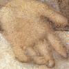 detail-showing-left-hand-of-christ-after-5d_2.jpg